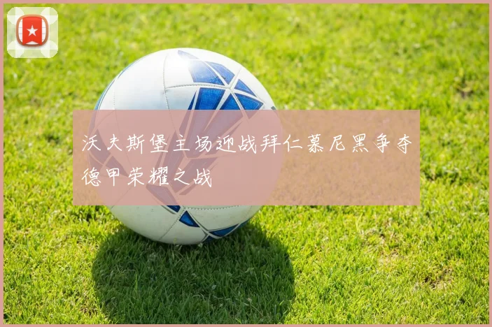 沃夫斯堡主场迎战拜仁慕尼黑争夺德甲荣耀之战