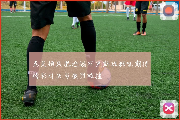 惠灵顿凤凰迎战布里斯班狮吼期待精彩对决与激烈碰撞