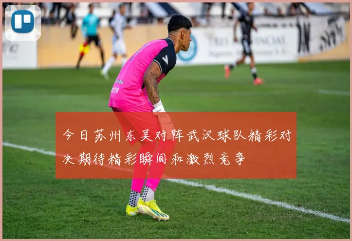 今日苏州东吴对阵武汉球队精彩对决期待精彩瞬间和激烈竞争