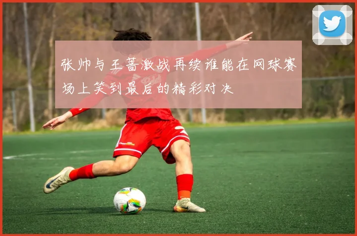 张帅与王蔷激战再续谁能在网球赛场上笑到最后的精彩对决