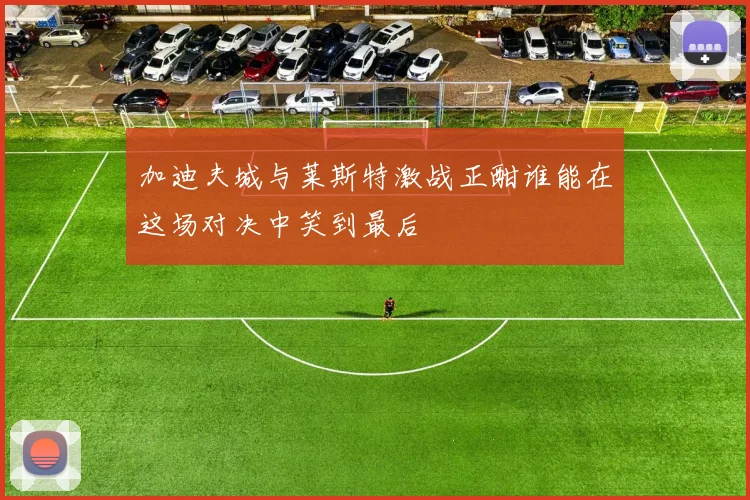 加迪夫城与莱斯特激战正酣谁能在这场对决中笑到最后